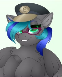 Size: 3277x4096 | Tagged: safe, artist:chromatic-sheen, imported from derpibooru, oc, oc only, oc:summer breeze (pegasus), pegasus, pony, bust, chest fluff, commission, female, glasses, hat, looking at you, mare, pegasus oc, smiling, smiling at you, solo, spread wings, wings