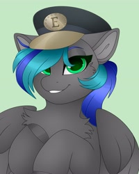 Size: 3277x4096 | Tagged: safe, artist:chromatic-sheen, imported from derpibooru, oc, oc only, oc:summer breeze (pegasus), pegasus, pony, abstract background, chest fluff, female, hat, mare, pegasus oc, solo, spread wings, wings