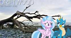 Size: 2064x1105 | Tagged: safe, artist:cloudy glow, artist:dashiesparkle, artist:not-yet-a-brony, imported from derpibooru, gallus, silverstream, griffon, hippogriff, 2022, beach, cloud, driftwood, female, friends, friendship, gallstream, lyrics in the description, male, ocean, september, shipping, song reference, straight, water, youtube link in the description