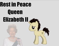 Size: 830x650 | Tagged: safe, imported from derpibooru, oc, oc:power bolt, human, pony, unicorn, pony creator, comments locked down, death, female, frown, gray background, hooves, low effort, male, photo, queen elizabeth ii, rest in peace, sad, simple background, stallion, text, upset