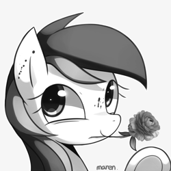 Size: 1800x1800 | Tagged: safe, alternate version, artist:maren, imported from derpibooru, roseluck, pony, 2014, blood, bust, female, flower, flower in mouth, monochrome, mouth hold, old art, rose, smiling, solo