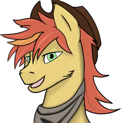 Size: 2048x2048 | Tagged: safe, artist:yerwarrior, imported from derpibooru, oc, oc only, oc:zestar apple, earth pony, pony, bandana, bust, cowboy hat, earth pony oc, hat, looking at you, male, open mouth, portrait, simple background, smiling, smiling at you, solo, stallion, transparent background