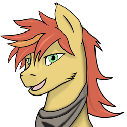 Size: 2048x2048 | Tagged: safe, alternate version, artist:yerwarrior, imported from derpibooru, oc, oc only, oc:zestar apple, earth pony, pony, bandana, bust, earth pony oc, looking at you, male, open mouth, portrait, simple background, smiling, smiling at you, solo, stallion, transparent background