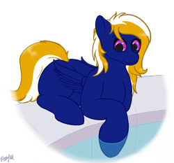 Size: 2150x2000 | Tagged: safe, artist:aelflonra, imported from derpibooru, oc, oc only, oc:nightsky, pegasus, female, simple background, solo, transparent background