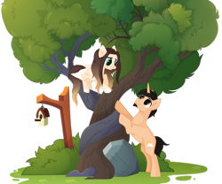 Size: 1280x1066 | Tagged: safe, artist:cindystarlight, imported from derpibooru, oc, oc:cindy, pegasus, pony, unicorn, base used, bird house, female, intertwined trees, male, mare, rock, simple background, stallion, transparent background, tree