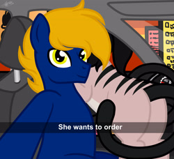Size: 3295x3000 | Tagged: safe, artist:princessmoonsilver, imported from derpibooru, oc, oc:moira, oc:perfect drop, earth pony, pony, butt, car, car interior, commission, he wants to order, hybrid oc, meme, order, plot, selfie, solo, ych result, your character here