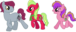 Size: 981x422 | Tagged: safe, artist:starryoak, imported from derpibooru, oc, oc only, oc:apple patch, oc:berry patch, oc:rocky patch, earth pony, 2013, brother and sister, earth pony oc, female, headcanon, headcanon in the description, male, offspring, parent:chancellor puddinghead, parent:smart cookie, siblings, simple background, sisters, transparent background, trio, triplets