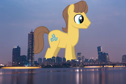 Size: 2048x1365 | Tagged: safe, artist:jaredking779, artist:serginh, imported from derpibooru, caramel, earth pony, pony, background pony, giant pony, giant/macro earth pony, highrise ponies, irl, macro, male, mega giant, photo, ponies in real life, seoul, south korea, stallion