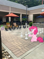 Size: 774x1032 | Tagged: safe, edit, editor:undeadponysoldier, imported from ponybooru, photographer:undeadponysoldier, pinkie pie, spike, dragon, earth pony, pony, best friends, chair, chess, chess piece, chessboard, dragons in real life, duo, edited photo, female, hanging out, irl, male, mare, photo, ponies in real life, size difference, umbrella