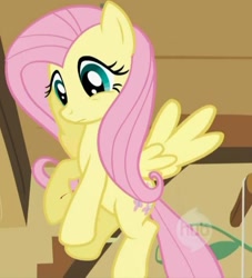 Size: 645x709 | Tagged: safe, edit, edited screencap, imported from derpibooru, screencap, fluttershy, pegasus, pony, fanfic:fluttershy gets a papercut, a bird in the hoof, season 1, blood, cropped, female, fluttershy's cottage (interior), flying, hub logo, logo, mare, papercut, spread wings, the hub, wings