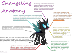 Size: 1416x1047 | Tagged: safe, imported from derpibooru, changeling, anatomy, chart, diagram, information, simple background, solo, transparent background