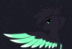 Size: 2560x1760 | Tagged: safe, artist:verlista, imported from derpibooru, oc, oc only, pegasus, pony, bust, glowing, glowing wings, pegasus oc, portrait, wings