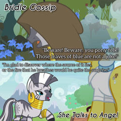 Size: 1920x1920 | Tagged: safe, edit, edited screencap, editor:itsmgh1203, imported from derpibooru, screencap, doctor fauna, zecora, earth pony, pony, zebra, bridle gossip, season 1, season 9, she talks to angel, spoiler:s09, duo, duo female, female, mare, open mouth, open smile, smiling, text
