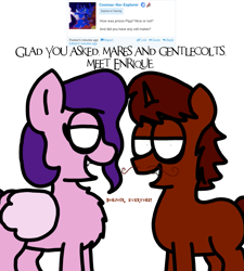 Size: 1275x1414 | Tagged: safe, artist:professorventurer, imported from derpibooru, pipp petals, oc, oc:enrique, pegasus, pony, unicorn, series:ask pippamena, french, g5, horn, pippamena, unicorn oc