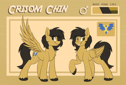 Size: 4700x3200 | Tagged: safe, artist:kaylerustone, imported from derpibooru, oc, oc only, oc:crisom chin, pegasus, pony, looking at you, male, reference sheet, spread hooves, spread wings, wings