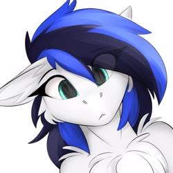 Size: 1925x1925 | Tagged: safe, artist:observerdoz, imported from derpibooru, oc, oc only, oc:black ice, pegasus, bust, chest fluff, ear fluff, female, floppy ears, portrait, simple background, solo, white background