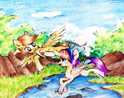 Size: 3833x3026 | Tagged: safe, artist:db, artist:liaaqila, imported from derpibooru, oc, oc only, oc:buttercup, oc:qilala, pegasus, pony, collaboration, duo, river, traditional art, water