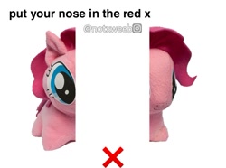 Size: 1125x835 | Tagged: safe, editor:notxweeb, imported from derpibooru, pinkie pie, earth pony, pony, caption, illusion, image macro, meme, plushie, pony plushie, solo, text