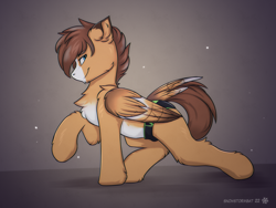 Size: 3200x2400 | Tagged: safe, artist:snowstormbat, imported from derpibooru, oc, oc only, oc:barnstorme, pegasus, pony, clothes, male, smiling, solo, speedo, stallion, swimsuit, wings