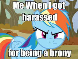 Size: 986x748 | Tagged: safe, edit, edited screencap, imported from derpibooru, screencap, rainbow dash, pegasus, pony, tanks for the memories, brony, caption, image macro, looking at you, meme, photo, solo, text