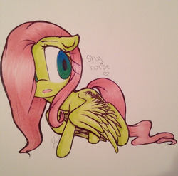 Size: 634x626 | Tagged: safe, artist:meotashie, imported from derpibooru, fluttershy, pegasus, pony, female, solo, traditional art