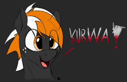 Size: 1638x1062 | Tagged: safe, artist:sefastpone, imported from derpibooru, oc, oc only, oc:se, pony, bust, digital art, freckles, kurwa, male, polish, speech bubble, stallion, vulgar