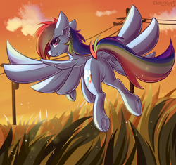 Size: 1580x1485 | Tagged: safe, artist:yuris, imported from derpibooru, rainbow dash, pegasus, pony, backwards cutie mark, butt, dock, ear fluff, electricity, featureless crotch, female, field, flying, frog (hoof), grass, grass field, looking at you, looking back, looking back at you, mare, multicolored hair, plot, power line, rainbow hair, solo, spread wings, sunset, tail, underhoof, wings