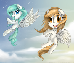 Size: 2700x2300 | Tagged: safe, artist:meotashie, imported from derpibooru, oc, oc only, pegasus, pony, duo, female, pegasus oc