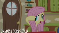 Size: 1920x1080 | Tagged: safe, edit, edited screencap, editor:quoterific, imported from derpibooru, screencap, fluttershy, pegasus, pony, flutter brutter, season 6, female, mare, solo