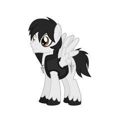 Size: 7500x7000 | Tagged: safe, artist:lunahazacookie, imported from derpibooru, oc, oc only, oc:nightwish, pegasus, pony, male, pegasus oc, simple background, solo, stallion, transparent background, unshorn fetlocks, wings