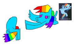 Size: 1195x715 | Tagged: safe, imported from derpibooru, rainbow dash, pegasus, pony, disembodied head, flying, multicolored hair, picture in picture, rainbow hair, simple background, two legged creature, vulgar, wat, white background, wtf