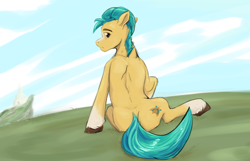 Size: 1364x879 | Tagged: safe, artist:testostepone, imported from derpibooru, hitch trailblazer, earth pony, pony, blaze (coat marking), butt, coat markings, facial markings, g5, grass, hitchbutt, looking at you, male, plot, simple background, sky, socks (coat markings), solo, stallion, unshorn fetlocks