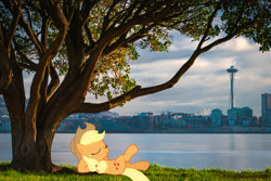 Size: 2047x1366 | Tagged: safe, artist:jaredking779, artist:sakatagintoki117, imported from derpibooru, applejack, earth pony, pony, cowboy hat, eyes closed, female, hat, irl, mare, photo, ponies in real life, resting, seattle, solo, space needle, stetson, tree, washington