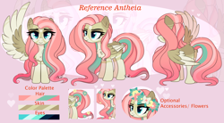 Size: 3908x2165 | Tagged: safe, artist:2pandita, imported from derpibooru, oc, oc only, oc:antheia, pegasus, pony, colored wings, female, mare, reference sheet, solo, two toned wings, wings