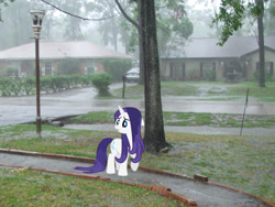 Size: 2272x1704 | Tagged: safe, artist:jaredking779, artist:themajesticpony, imported from derpibooru, rarity, pony, unicorn, female, houston, irl, looking down, mare, photo, ponies in real life, rain, solo, texas, wet, wet mane, wet mane rarity