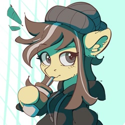 Size: 2000x2000 | Tagged: safe, artist:mochalula, imported from derpibooru, oc, oc only, pony, beanie, clothes, coffee mug, hat, hoodie, mug, solo, straw