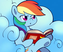 Size: 1250x1035 | Tagged: safe, artist:talimingi, imported from derpibooru, rainbow dash, pegasus, pony, annoyed, book, cloud, daring do book, down beat bear, female, mare, meme, on a cloud, ponified meme, reaction image, reading, sitting, sitting on a cloud, sky, solo, tom and jerry, tom reading the newspaper