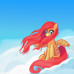 Size: 2000x2000 | Tagged: safe, artist:solid shrimp, imported from derpibooru, fluttershy, pegasus, pony, cloud, sky