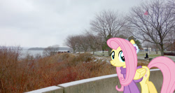 Size: 2000x1067 | Tagged: safe, artist:jaredking779, artist:luckreza8, imported from derpibooru, fluttershy, pegasus, pony, autumn, burlington, clothes, earmuffs, female, irl, mare, photo, ponies in real life, solo, sweater, vermont