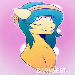 Size: 2160x2160 | Tagged: safe, artist:barnnest, imported from ponybooru, oc, earth pony, pony, solo