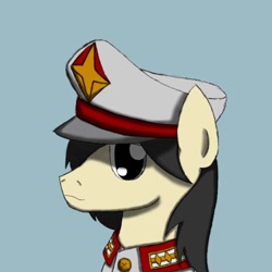 Size: 798x798 | Tagged: safe, artist:efpony, imported from derpibooru, oc, oc only, oc:efpony, earth pony, pony, clothes, earth pony oc, hat, simple background, solo
