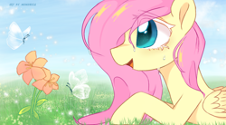 Size: 1250x691 | Tagged: safe, artist:memengla, imported from derpibooru, fluttershy, butterfly, pegasus, pony, colored eyelashes, colored pupils, crying, cute, female, flower, grass, grass field, looking at something, lying down, mare, prone, shyabetes, sky, solo, transparent wings, wings