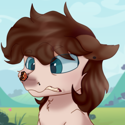 Size: 1024x1030 | Tagged: safe, artist:thatonefluffs, imported from derpibooru, oc, oc:misanthropic misery, butterfly, earth pony, pony, blushing, butterfly on nose, cloud, earth pony oc, grass, grass field, insect on nose, piercing, ponysona, sky, solo