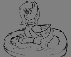 Size: 2534x2051 | Tagged: safe, artist:somber, imported from derpibooru, oc, oc only, pegasus, pony, grayscale, monochrome, nest, pegasus oc