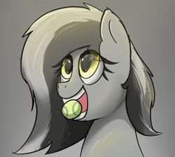 Size: 1500x1350 | Tagged: safe, artist:somber, imported from derpibooru, oc, oc only, oc:graeyscale, pegasus, ball, bust, eye clipping through hair, eyelashes, gray background, looking up, mouth hold, open mouth, pegasus oc, portrait, simple background, solo, tennis ball