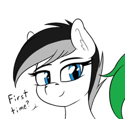 Size: 934x892 | Tagged: safe, artist:seafooddinner, imported from derpibooru, oc, oc only, oc:ablpone, oc:astrapone, earth pony, pony, abl, astra, bust, dialogue, ear fluff, earth pony oc, female, mare, simple background, talking, white background