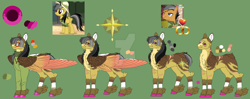 Size: 1280x509 | Tagged: safe, artist:malinraf1615, imported from derpibooru, a.k. yearling, daring do, quibble pants, earth pony, pegasus, pony, alternate design, cheek feathers, chest fluff, colored belly, daringpants, deviantart watermark, feathered fetlocks, female, green background, male, mare, obtrusive watermark, pale belly, reference sheet, scar, screencap reference, shipping, simple background, slim, stallion, straight, thin, watermark