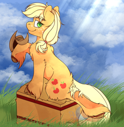 Size: 2048x2098 | Tagged: safe, artist:bluemoon, imported from derpibooru, applejack, earth pony, pony, applejack's hat, chest fluff, cloud, cowboy hat, female, field, freckles, grass, hat, hay bale, looking back, mare, smiling, solo, unshorn fetlocks