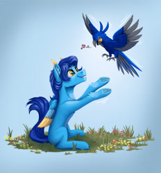 Size: 3501x3768 | Tagged: safe, artist:helmie-art, imported from derpibooru, oc, oc:helmie, bird, parrot, pegasus, pony, blue, colored belly, colored wings, ear fluff, flower, frog (hoof), gradient background, grass, heart, hoof fluff, hoofbutt, multicolored wings, pale belly, pegasus oc, sitting, slim, sternocleidomastoid, thin, underhoof, wings