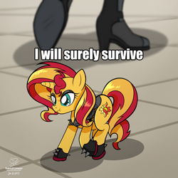 Size: 4500x4500 | Tagged: safe, alternate version, artist:theratedrshimmer, imported from derpibooru, sunset shimmer, pony, unicorn, equestria girls, absurd resolution, cute, female, human sunset, implied sunset shimmer, meme, ponified, ponified animal photo, ponified meme, scrunchy face, self paradox, self ponidox, shimmerbetes, tiny, tiny ponies